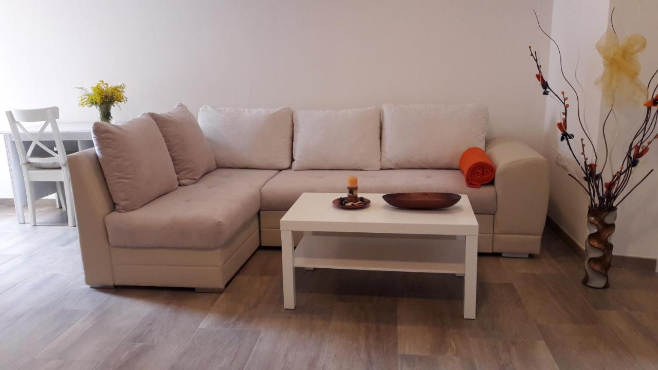 Apartment Nena- Apartman Sa Posebnim Ulazom U Prizemlju, Terasom I Zelenom Okucnicom Rakotule Exterior photo