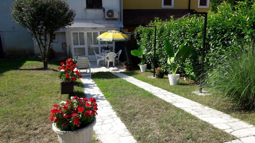 Apartment Nena- Apartman Sa Posebnim Ulazom U Prizemlju, Terasom I Zelenom Okucnicom Rakotule Exterior photo